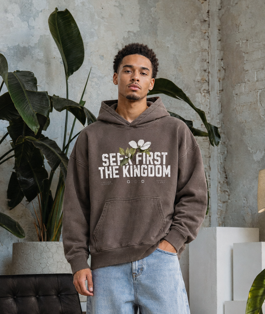 "Matthew 6:33" Hoodie